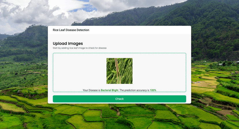 Rice Disease Detector